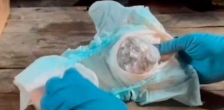 Capturan a dos "nicas" con un pañal cargado de droga en Costa Rica