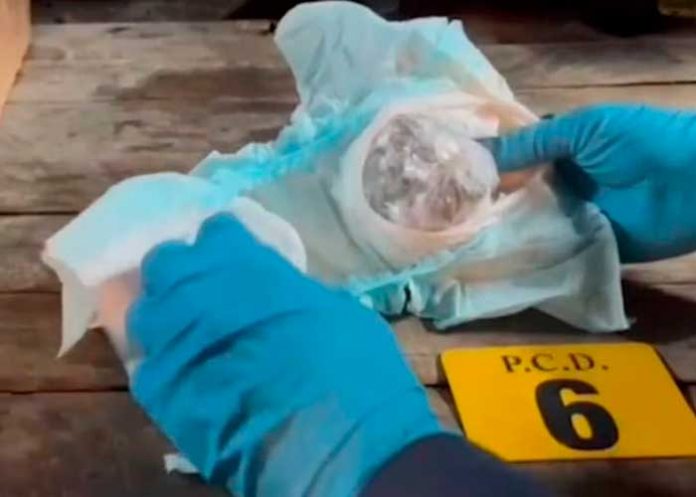 costa-rica1 Capturan a dos