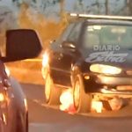 «Nica» muere bajo las llantas de un carro en Costa Rica ¡se acostó en la vía! "Nica" muere bajo las llantas de un carro en Costa Rica ¡se acostó en la vía!