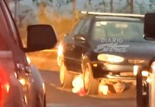 «Nica» muere bajo las llantas de un carro en Costa Rica ¡se acostó en la vía! "Nica" muere bajo las llantas de un carro en Costa Rica ¡se acostó en la vía!