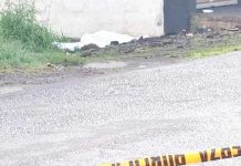 «Blufileño» muere tras ser brutalmente golpeado en Costa Rica "Blufileño" muere tras ser brutalmente golpeado en Costa Rica