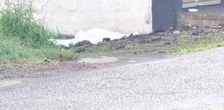 "Blufileño" muere tras ser brutalmente golpeado en Costa Rica