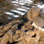 Cada vez más cerca de resucitar al mamut, y con propiedad intelectual Cada vez más cerca de resucitar al mamut, y con propiedad intelectual