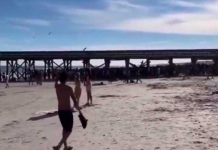 Balacera a plena luz del día en una playa de Carolina del Sur dejó seis heridos A plena luz del día balacera en playa de Carolina del sur dejó seis heridos