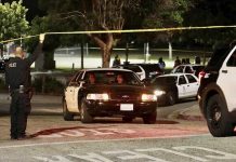 Mató de un certero balazo al violento exnovio de su hija en Estados Unidos Mató de un certero balazo al violento exnovio de su hija en Estados Unidos
