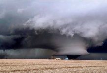 Destrucción, caos y 32 muertos por fuertes tornados en Estados Unidos Destrucción, caos y 32 muertos por fuertes tornados en Estados Unidos
