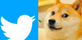 Twitter cambia logo por un perro y provoca alza de criptomoneda