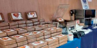 Desmantelan macrolaboratorio de "coca" de cárteles mexicanos en España