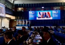 Nicaragua participa en período de sesiones del Consejo de la FAO en la ciudad de Roma