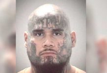 ¡A sangre fría! Mató y descuartizó a repartidor de comida en Florida