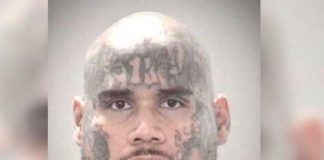 ¡A sangre fría! Mató y descuartizó a repartidor de comida en Florida