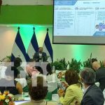 Foto: Encuentro entre Nicaragua y el Fondo para el Medio Ambiente Mundial / TN8