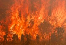 «Tras días de angustia» la ola de incendios en España está bajo control Ola de incendios en el norte de España "bajo control"