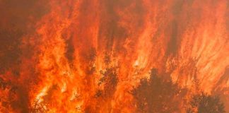 Ola de incendios en el norte de España "bajo control"