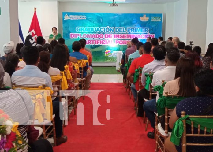 hghggh INTA certifica a productores como inseminadores de ganado porcino