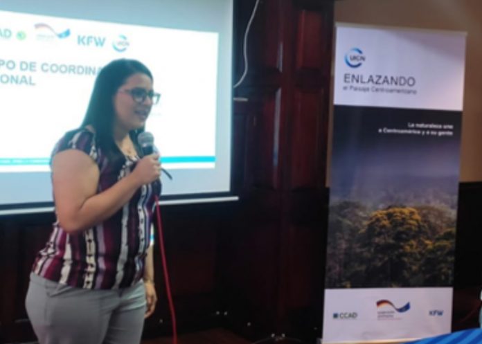 kkkok Belice enlazando el paisaje Centroamericano