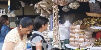 Foto: Mercado Alfredo Lazo en Estelí / TN8