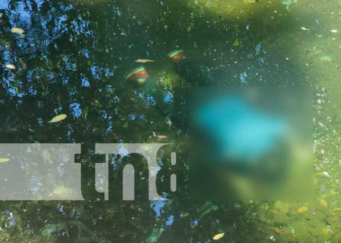 Hallan cuerpo sin vida en la poza del parque Arlen Siu, en León