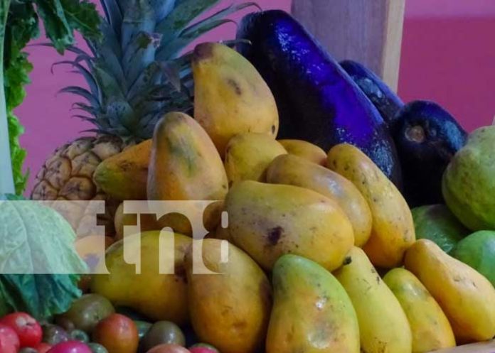 Nicaragua ya cuenta con un mapa de la gastronomía nacional