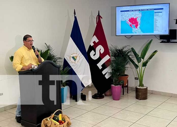 mapa-in-1 Foto: Presentación de mapas interactivos de rubros agropecuarios en Nicaragua / TN8