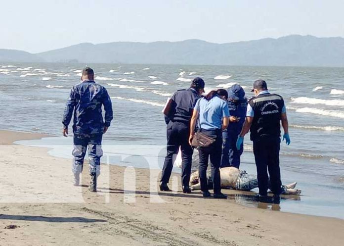 menco-2 Foto: Hallazgo del cuerpo de una mujer en el Lago Cocibolca, sector de Rivas / TN8