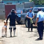 Foto: Investigación por el hallazgo de un cuerpo en Managua / TN8