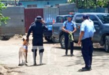 ¿Qué le pasó a «La Mendoza»? Encuentran su cuerpo en un predio de Managua Foto: Investigación por el hallazgo de un cuerpo en Managua / TN8