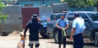 Foto: Investigación por el hallazgo de un cuerpo en Managua / TN8