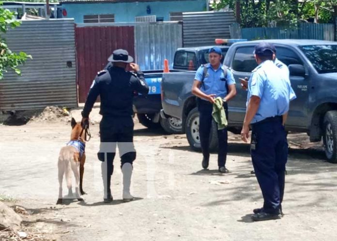 mendo-2 Foto: Investigación por el hallazgo de un cuerpo en Managua / TN8