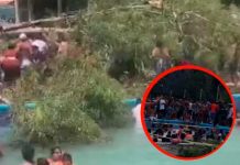 Bebé muere aplastado por la caída árbol en un balneario de Guanajuato Bebé muere aplastado por la caída árbol en un balneario de Guanajuato