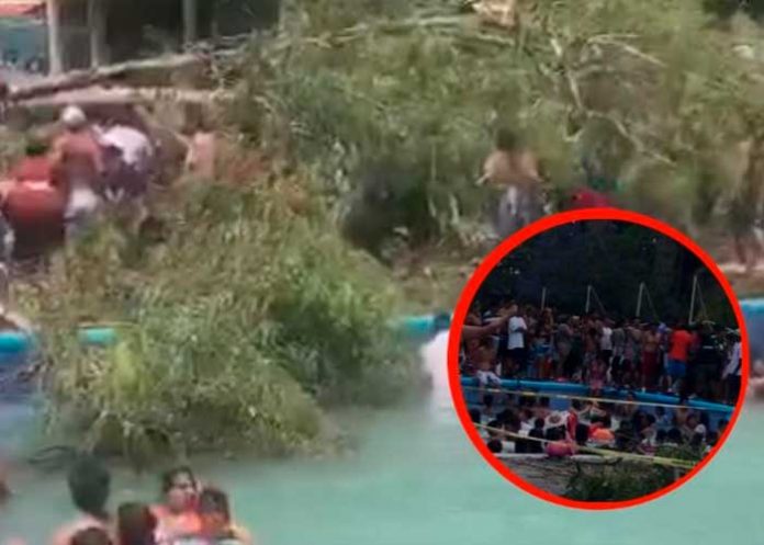Bebé muere aplastado por la caída árbol en un balneario de Guanajuato