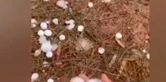 Apocalíptica tormenta de granizó tiñó de blanco el oeste de Arabia Saudita