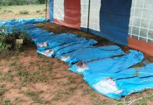 Decenas de devotos murieron de hambre por creer que así irán al cielo en Kenia