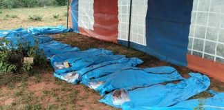 Decenas de devotos murieron de hambre por creer que así irán al cielo en Kenia