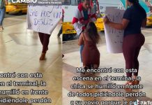 VIDEO: De rodillas le pide perdón a su marido por acostarse con su cuñado Mujer pide perdón de rodillas por acostarse con su cuñado