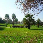 VIDEO: Pareja ‘sin pudor’ da rienda suelta a sus pasiones en pleno parque Pareja tiene intimidad en pleno parque a luz del día