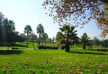 VIDEO: Pareja ‘sin pudor’ da rienda suelta a sus pasiones en pleno parque Pareja tiene intimidad en pleno parque a luz del día