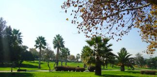 Pareja tiene intimidad en pleno parque a luz del día