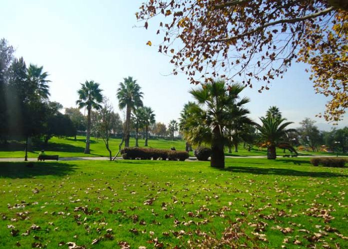 Pareja tiene intimidad en pleno parque a luz del día