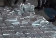 Capturan en Rusia a tres narcos con casi 700 kilos de cocaína Capturan en Rusia a tres narcos con casi 700 kilos de cocaína