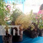 Feria agropecuaria por el día internacional de la Madre Tierra en Ticuantepe Feria agropecuaria por el día internacional de la madre Tierra en Ticuantepe