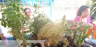 Feria agropecuaria por el día internacional de la madre Tierra en Ticuantepe