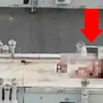 'Tortolitos' se echan su "polvo" a plena luz del día y frente a sus vecinos