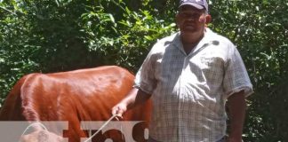 Foto: Visita técnica del MAG en fincas de Granada / TN8