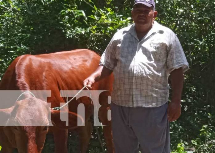 Foto: Visita técnica del MAG en fincas de Granada / TN8