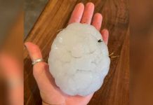 Catastróficas bolas de granizo causan pánico en varios condados de Texas
