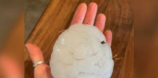 Catastróficas bolas de granizo causan pánico en varios condados de Texas