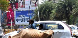 Hombre muere tras ser aplastado por una vaca en India