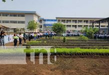 Inauguran hermoso vivero «Héroes y Mártires de Veracruz» en León Foto: Vivero contiguo al Tecnológico de León / TN8
