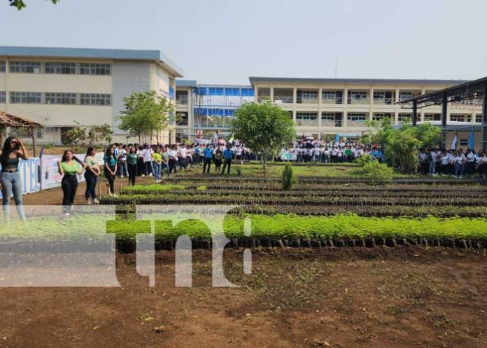 viveleon-2 Foto: Vivero contiguo al Tecnológico de León / TN8